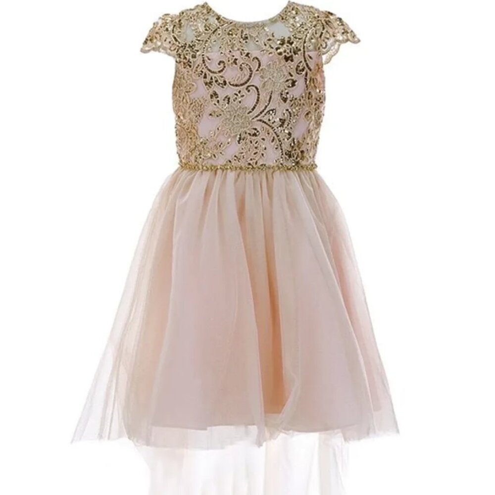 Rare Editions Girls Size 14 Cap Sleeve Sequin Embroidered Mesh Dress